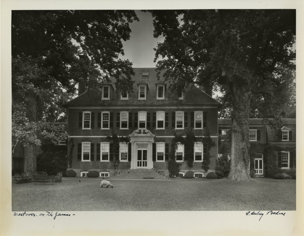 Click for larger image